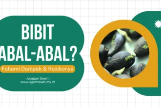 Dampak Ekonomi Jangka Panjang Akibat Penanaman Sawit Dengan Bibit Abal-Abal