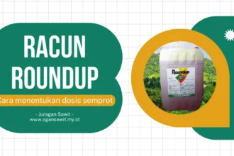 Round Up