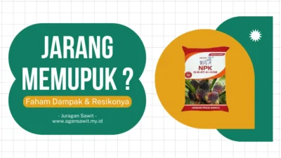 Efek Jangka Pendek Dan Jangka Panjang Dari Tidak Memupuk Pada Tanaman Sawit