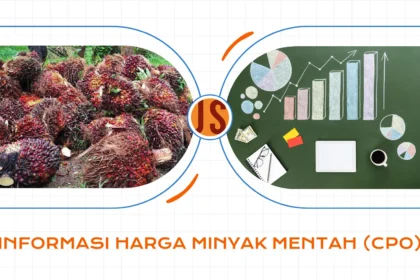 Harga Minyak Mentah Kelapa Sawit Merangkak Naik