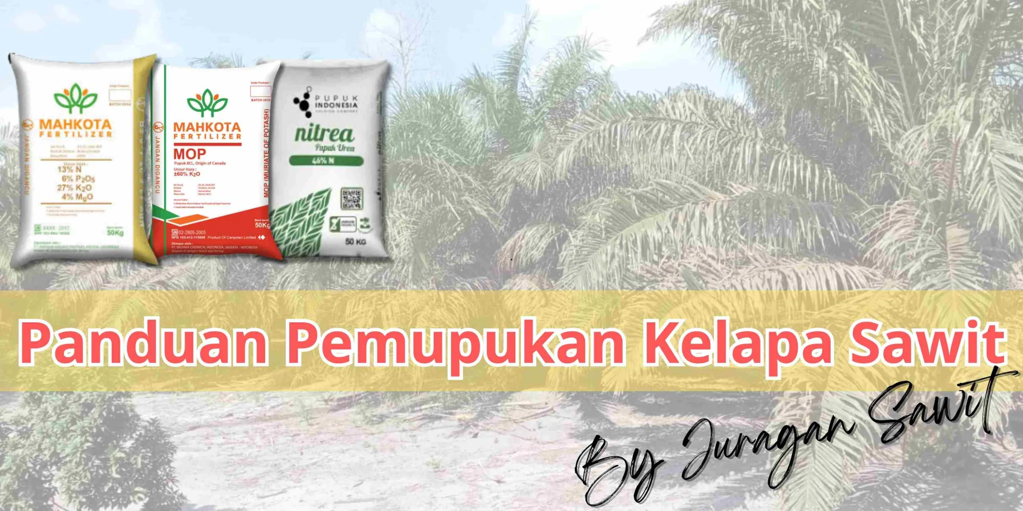 Cara Tepat Memilih Pupuk Kelapa Sawit: Panduan Sederhana Untuk Pemula