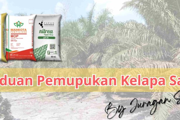 Cara Tepat Memilih Pupuk Kelapa Sawit: Panduan Sederhana Untuk Pemula