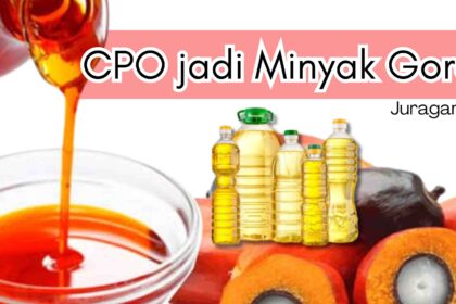 Dari Kebun Sawit Ke Meja Makan: Proses Cpo Menjadi Minyak Goreng