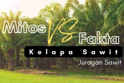 Mitos Dan Fakta Kelapa Sawit: Memahami Sumber Daya Alam Yang Kontroversial