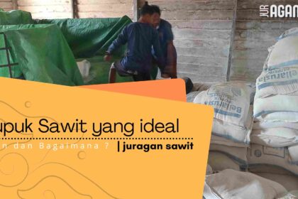 Tips Efektif Dalam Pemilihan Pupuk Untuk Tanaman Kelapa Sawit