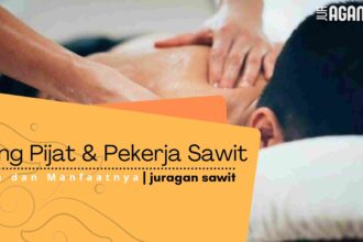 Tukang Pijat Dan Pekerja Sawit: Sinergi Untuk Kesehatan Optimal
