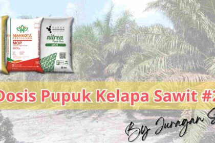 Panduan Lengkap Takaran Dosis Pupuk Untuk Kelapa Sawit Yang Efektif