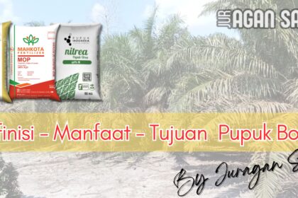 Pupuk Boron (B): Definisi, Manfaat, Dan Dampaknya Pada Produktivitas Sawit