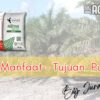 Pupuk Urea (N): Definisi Dan Peran Penting Dalam Pertumbuhan Sawit
