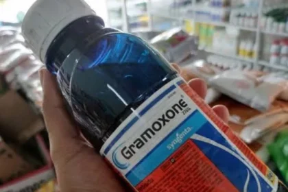 Penggunaan Gramoxone Dalam Pengendalian Gulma Pada Perkebunan Kelapa Sawit