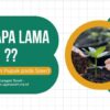 Berapa Lama Waktu Yang Diperlukan Untuk Penyerapan Pupuk Oleh Sawit?
