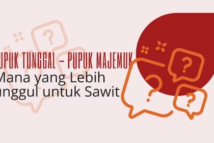 Pupuk Tunggal Vs Pupuk Majemuk: Mana Yang Lebih Baik Untuk Produktivitas Sawit?