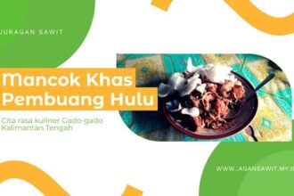 Mancok Kalimantan: Cita Rasa Gado-Gado Khas Pembuang Hulu
