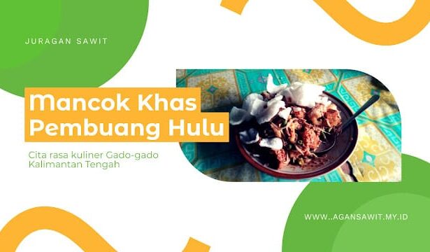 Mancok Kalimantan: Cita Rasa Gado-Gado Khas Pembuang Hulu