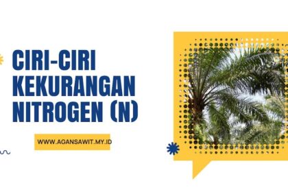 Ciri-Ciri Fisik Tanaman Sawit Yang Mengalami Kekurangan Nutrisi Nitrogen