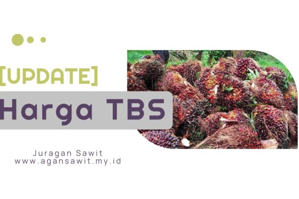 [Update] Harga Tbs Petani Di Peron Dan Pabrik Terbaru