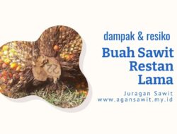 Dampak Negatif Restan Buah Sawit Terhadap Produktivitas
