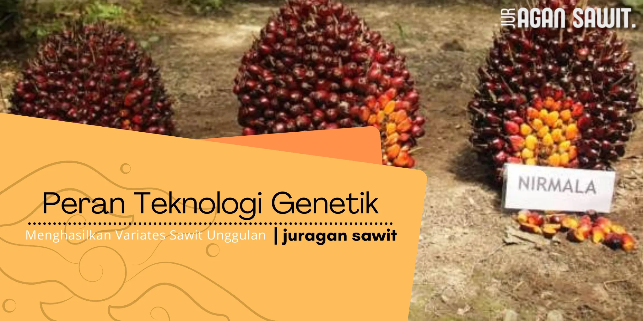 Teknologi Genetik Dan Peningkatan Varietas Kelapa Sawit
