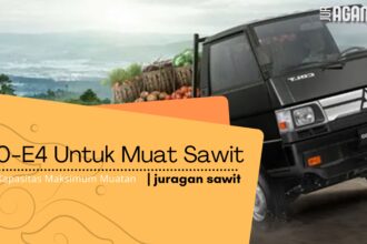 Memahami Kapasitas Muatan Sawit Pada Pickup L300 Euro 4