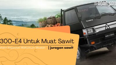 Memahami Kapasitas Muatan Sawit Pada Pickup L300 Euro 4