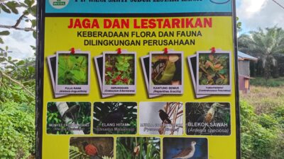Praktik Sederhana Petani Sawit: Panduan Menjaga Satwa Liar Di Kebun Masyarakat