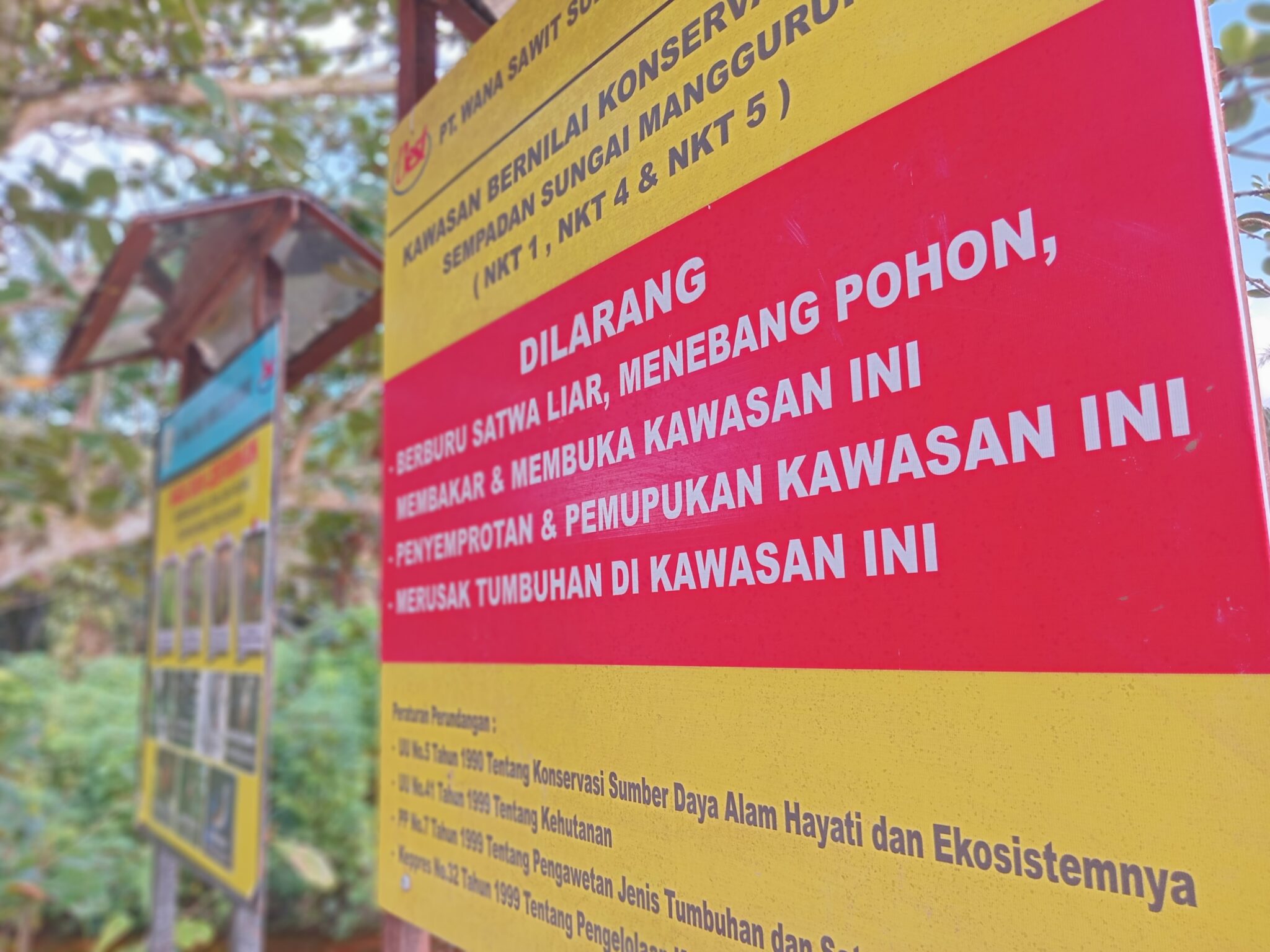 Praktik Sederhana Petani Sawit: Panduan Menjaga Satwa Liar Di Kebun Masyarakat