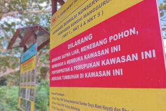 Praktik Sederhana Petani Sawit: Panduan Menjaga Satwa Liar Di Kebun Masyarakat
