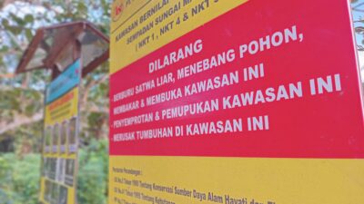 Praktik Sederhana Petani Sawit: Panduan Menjaga Satwa Liar Di Kebun Masyarakat